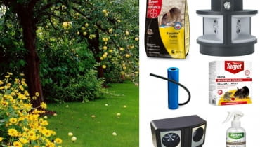 Gryzonie w ogrodzie Gryzonie w ogrodzie