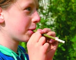 Gwizdek z patyka. Gwizdek z patyka.