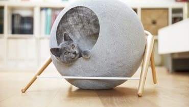 Domki dla kotów Meyou Domki dla kotów Meyou, koty, zwierzęta, domki dla kotów