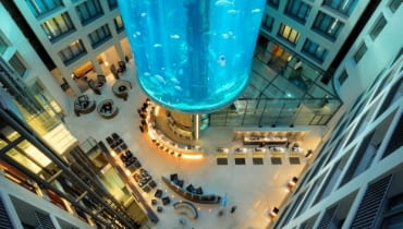 Największe akwarium na świecie hotel, akwarium, design, radison