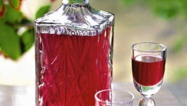 KUCHNIA REGJONALNA POJEZIERZA KASZUBSKIEGO , WIES OLPUCH NAD JEZIOREM WDZYDZKIM ; NALEWKA ZURAWINOWA STYLIZACJA ANNA TYSLEROWICZ FOT. RAFAL LIPSKI PUBLIKACJA KUCHNIA NR 9 (139) - 9.2006 SLOWA KLUCZOWE: ALKOHOL