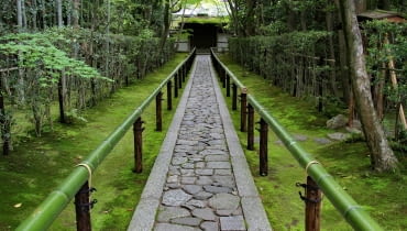 Projekt "RE-GROWTH" Projekt "RE-GROWTH"