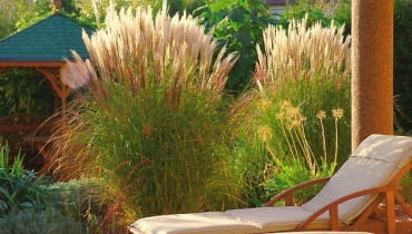 Miskant chiński 'Yakuschima Dwarf' chroni miejsce wypoczynku przed wiatrem i wzrokiem ciekawskich. Miskant chiński 'Yakuschima Dwarf' chroni miejsce wypoczynku przed wiatrem i wzrokiem ciekawskich.