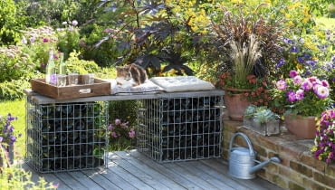 gabiony Selbstgebaute Bank aus Gabionen gefuellt mit leeren Flaschen , Toepfe mit Dahlia ( Dahlien ), Calibrachoa ( Zaubergloeckchen ), Graesern und Echeveria auf Mauer, Zink-Giesskanne, Katze liegt auf Kissen 61053230, 61053232 SLOWA KLUCZOWE: Sp tsommer draussen quer TERRASSE Topf msgnp12 000 Holzdeck SITZPLATZ BALKONBLUMEN K<BELPFLANZEN Tier