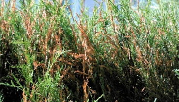 SLOWA KLUCZOWE: Ostrość Wysoka jakość