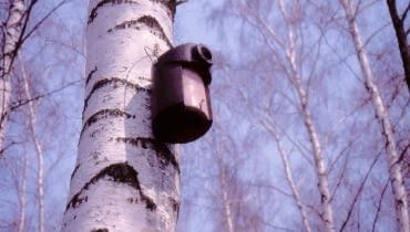 Budka z drewnobetonu. Jej wlot w formie rury jest zaporą dla drapieżników.