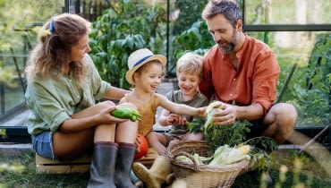 Zioła, kiełki i kolorowe warzywa Zioła, kiełki i kolorowe warzywa