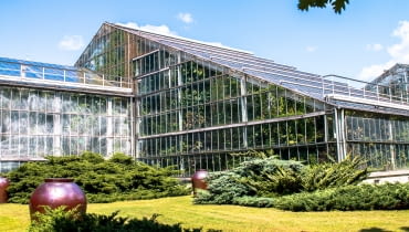 Palmiarnia w Poznaniu Palmiarnia w Poznaniu