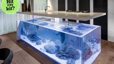 Kuchnia z akwarium; proj. Robert Kolenik akwarium, kuchnia, kuchnia z akwarium, robert kolenik