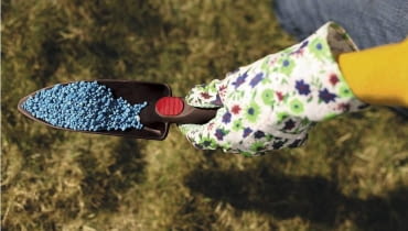 Byliny na rabatach, w ogrodzie skalnym i pojedyncze krzewy nawozimy ręcznie 03.04.2009 WARSZAWA - LOMIANKI - DLA KWIETNIKA PRACE OGRODOWE - NAWOZENIE MINERALNE FOT. ALINA GAJDAMOWICZ / AGENCJA GAZETA PUBLIKACJA KWIETNIK NR 6 (174) - 6 2009 SLOWA KLUCZOWE: OGROD OGRODNICTWO