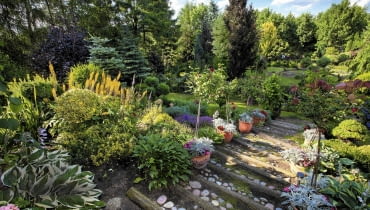 SLOWA KLUCZOWE: Lodz dom i ogrod pani Haliny lato lipiec lodzkie ogrod poland polska ul. Skowroncza 19