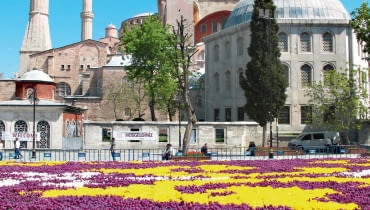 Kobierzec z tulipanów w centrum miasta 'utkany' na wzór perskich dywanów. Kobierzec z tulipanów w centrum miasta 'utkany' na wzór perskich dywanów.