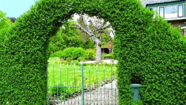 Cięcie i przycinanie roślin FORMOWANIE STRZYZENIE CIECIE ZYWOPLOT FURTKA OGRODZENIE BRAMKAFOT. JERZY ROMANOWSKIPUBLIKACJA OGRODY NUMER SPECJALNY 2/2006 - OGROD MARZEN - 6.2006PUBLIKACJA OGRODY NUMER SPECJALNY 1/2010 - MODNY OGROD - 5 2010PUBLIKACJA LADNY DOM NR 10 (180) - 10 2013