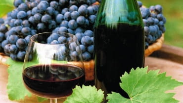 DROGA OD ZBIORU WINOROŚLI DO WŁASNEGO WINA jest długa i wymagająca, ale warto ją samemu przejść. Satysfakcja gwarantowana! WINOGRONA, WINOROSL WINO JESIEN FOT. ANNA BIALA/AGENCJA GAZETA AB814_007 SLOWA KLUCZOWE: ROSLINY WINA