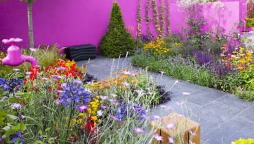 Kolorowa ściana w ogrodzie Kolorowa ściana w ogrodzie