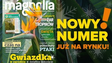 Magazyn Magnolia Magazyn Magnolia