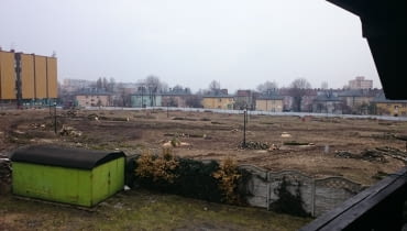 MAKABRYŁA ROKU 2014: Wykarczowany park w Rybniku