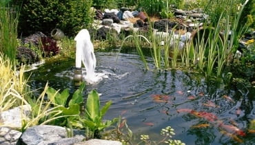 DO JEDNORAZOWEJ PUBLIKACJI