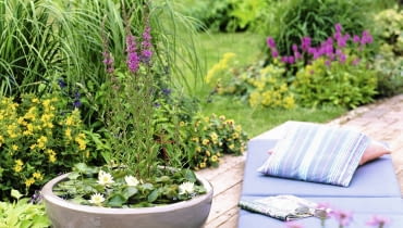 woda lilie misa Nymphaea tetragona 'Alba' ( Zwergsseerose ) f´r Wassertiefe 10 - 20 cm, Lythrum ( Blutweiderich ) in gro?er Schale auf Holzdeck, Matte, Kissen 61022224 SLOWA KLUCZOWE: ZZZ quer Sommer drau?en Terrasse Topf gesamt Miniteich Wasser Schale Holzdeck 000 msgnp08 Mini Teich