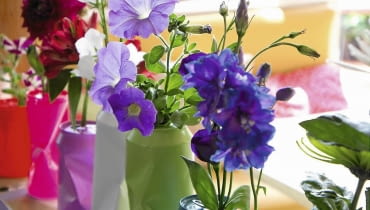 wazon z puszki Bunte Dosen als Vasen, Stepfoto vorhanden SLOWA KLUCZOWE: Blume Blumenvasendosen Chrysantheme Chrysanthemum Deko-Idee Dekoration Dose Farbe f rben floral Florales gef rbt Getr nkedose Idee Kreativ Kreatives Kreativ-Idee Lackspray modern poppig Recycling Selbermachen selbst gemacht Hochformat