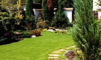 Fragment ogrodu po zmianach.