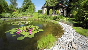 10.06.2010 BUSKO ZDROJ , OGROD DLA MIESIECZNIKA OGRODY , WLASCICIELE MAREK I ANNA MASLOWSKI . FOT. WOJCIECH SURDZIEL / AGENCJA GAZETA SLOWA KLUCZOWE: ROSLINY OGRODNICTWO OGROD