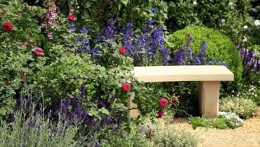 Ławka wśród ziół