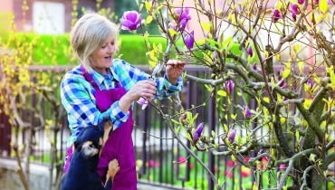 Przycinanie krzewów wiosoną Przycinanie krzewów wiosoną