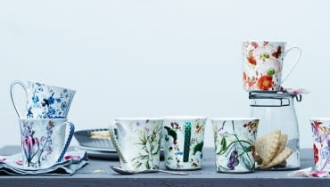 rosenthal, porcelana