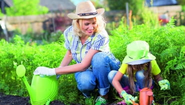 Działkę znajdującą sie w kompleksie ogródków działkowych można przekazać jednemu z członków rodziny jako darowiznę.