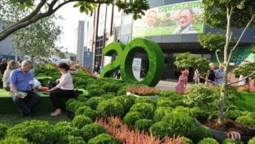 Wystawa Zieleń To Życie Wystawa Zieleń To Życie