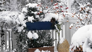 Spod Śnieżnych poduch wyglądają m.in. bukszpan, świerk i jałowiec. Kolorowy akcent to rajskie jabłuszka na gałązkach. BALKON IM WINTER MIT BUCHSBAUM KASTEN: WACHOLDER, FICHTE, ZIERAPFEL, COTONEASTER SLOWA KLUCZOWE: quer ZZZ gesamt GAP Laubgeh^lze 000 Winter Schnee Geh^lze Picea Zierapfel drau?en Balkon Balkonkasten Topf BALKONGELfNDER