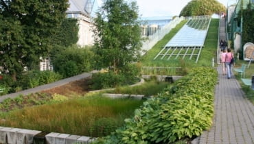 Dach Biblioteki Uniwersytetu Warszawskiego Dach Biblioteki Uniwersytetu Warszawskiego