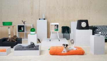 Kolekcja dla zwierząt domowych IKEA LURVIG Kolekcja dla zwierząt domowych IKEA LURVIG