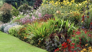 rabata Roczna licencja COLOURFUL HERBACEOUS BORDERS AT THE PRIORY, KEMERTON, HEREFORD & WORCESTER WITH HELENIUMS, DAHLIAS & CROCOSMIA SLOWA KLUCZOWE: BORDERS COLOURFUL CROCOSMIA DAHLIAS EDIBLE HELENIUMS HERBACEOUS HEREFORD KEMERTON LATE SUMMER PRIORY TUBER WORCESTER 000 AESTIVAL APFELSINE APFELSINEN AUSSEN BEET Beete BLUMENBEET BLUMENBEETE borders CITRUS SINENSIS COLOURFUL Crocosmia Dahlias drau?en edible ESTIVAL FLOWER BED FLOWER BEDS FLOWER BORDER FLOWER BORDERS GAERTEN GARDEN GARDENS Garten G?RTEN GBA gelb GELBE GELBEM GELBEN GELBER GELBES HELENIUMS Heliopsis HERBACEOUS HEREFORD Hochsommer H?henstaffelung KEMERTON late summer MIDSUMMER Mixed Border MIXED BORDERS MONTBRETIA MONTBRETIAS MONTBRETIE MONTBRETIEN ORANGE COLOUR orange Farbe ORANGE FRUCHT ORANGEFARBEN ORANGEFARBENE ORANGEFARBENEM ORANGEFARBENEN ORANGEFARBENER ORANGEFARBENES ORANGEM ORANGEN ORANGES FARBE OUTDOOR OX EYE OX EYES Prachtstauden PRIORY quer QUERFORMAT QUERFORMATE Rabatte RABATTEN Sommer SOMMERLICH SOMMERLICHE SOMMERLICHEN SOMMERLICHER SOMMERLICHES SONNENAUGE SUMMER SUMMERLIKE SUMMERLY SUMMERY TUBER WORCESTER YELLOW