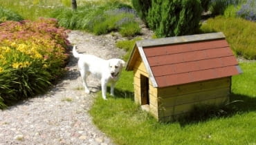 Buda ze zdejmowanym dachem, który ułatwia sprzątanie.