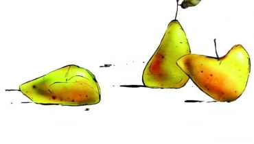 Owoce do przechowania zrywamy, zanim dojrzeją. Te, które opadną, ale są zdrowe, możemy przeznaczyć na przetwory Owoce do przechowania zrywamy, zanim dojrzeją. Te, które opadną, ale są zdrowe, możemy przeznaczyć na przetwory