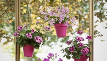 Dekoracja na balkon i do ogrodu Dekoracja na balkon