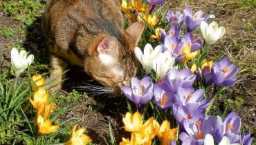 7Vojn8o/ss~`?I$H-/k)sNV]u;{Oh{KX{7,:7{.o3wkPmDj8a@a[).kLVn3n9n5-UnuWMZ6zZYYt7sw;3zH\^9M$8UD\_/}9N3f^^+o~\do.~[Flgs1nofdaS0h~,};>zKQR8}5X\d