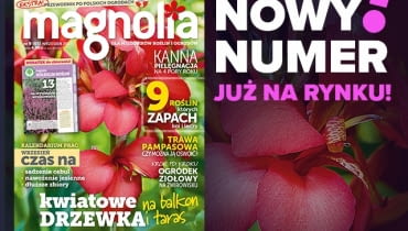 Magazyn Magnolia Magazyn Magnolia