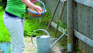 Nawozy posypowe rozsiewamy na powierzchni gleby przed wysiewami, następnie grabiami mieszamy z jej górną warstwą.