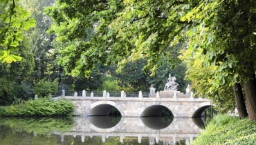 w Łazienkach Królewskich można obejrzeć imponujące okazy starych kasztanowców.