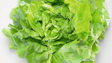 MASŁOWA 'MODESTA' 27.06.2005 ZDJECIA DO ARCHIWUM WARZYWA OWOCE ZIOLA SALATA STYLIZACJA JOANNA SZACHOWSKA FOT. PAWEL KISZKIEL / AGENCJA GAZETA PUBLIKACJA DZIECKO NR 5 - 5.2006 SLOWA KLUCZOWE: ZYWNOSC ZDJĘCIE DO WKŁADKI: PUBLIKACJA DZIECKO NR 5 - CZASOPISMA