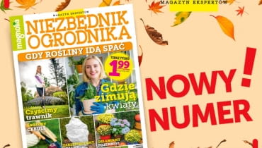 Magazyn Magnolia Magazyn Magnolia