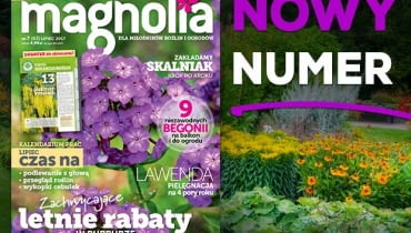Magazyn Magnolia Magazyn Magnolia