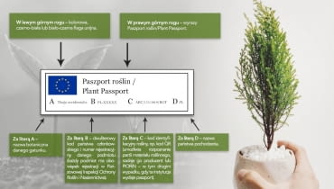 Paszport roślin