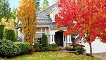 Shot of urban modern home during fall season SLOWA KLUCZOWE: natural leaf fall foliage nature orange tree yellow season red maple bright beautiful autumn beauty colorful autumnal green landscape outdoors seasonal outdoor home house residential modern yard front yard pumpkins windows garage drive way sky roof cedar stone grass bushes light woods October November natural leaf fall foliage nature orange tree yellow season red maple bright beautiful autumn beauty colorful autumnal green landscape outdoors seasonal outdoor home house residential modern yard front yard pumpkins windows garage drive way sky roof cedar stone grass bushes light woods october november