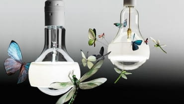 Lampa J.B. Schmetterling Lampa J.B. Schmetterling