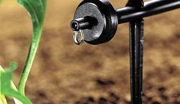 Woda powoli kapiąca z kroplowników dokładnie zwilża każdą grudkę ziemi.