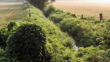 Do strumieni i rowów nie wolno odprowadzać żadnych ścieków Do strumieni i rowów nie wolno odprowadzać żadnych ścieków